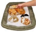 Kocia Rodzinka - Kotka z 3 młodymi, Perfect Petzzz