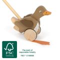 Kaczka do pchania na patyku z ruchomą głową FSC