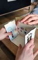 Pokój dla zwierzaków miniatura do samodzielnego składania