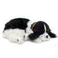 Zaadoptuj mnie Szczeniaczek oddychający Cocker Spaniel