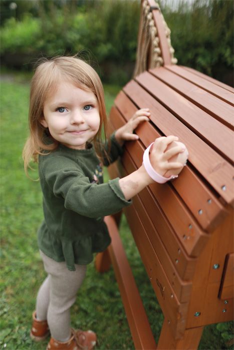 Zestaw do pielęgnacji hobby horse w czerwonej torbie