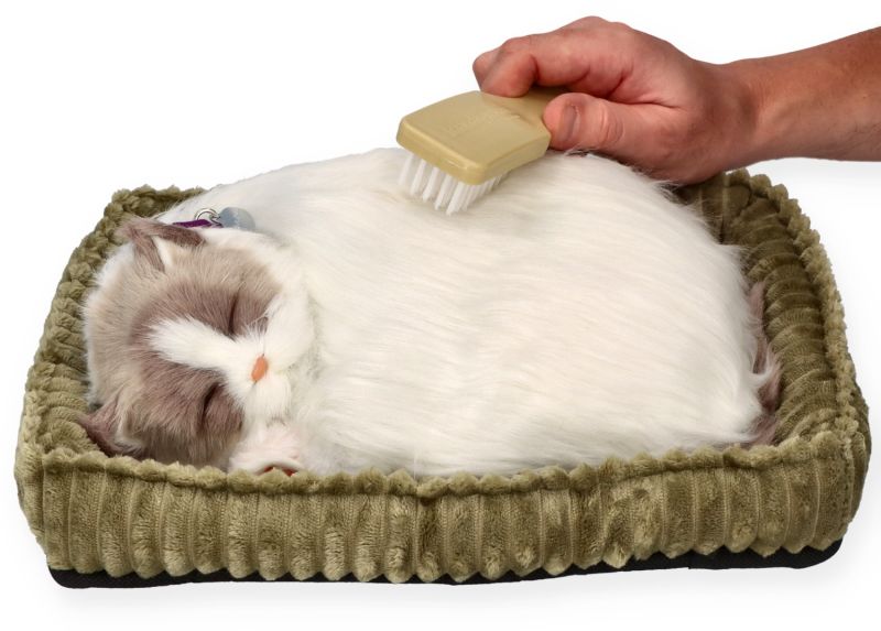 Oddychający Kociak Ragdoll Perfect Petzz