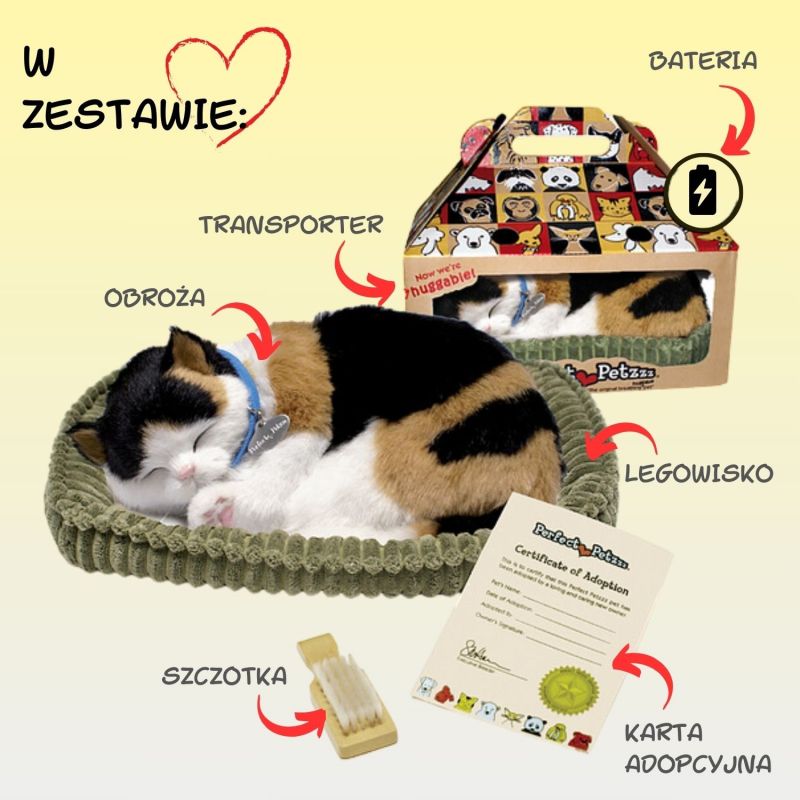 Zaadoptuj mnie Kociak oddychający trójkolorowy