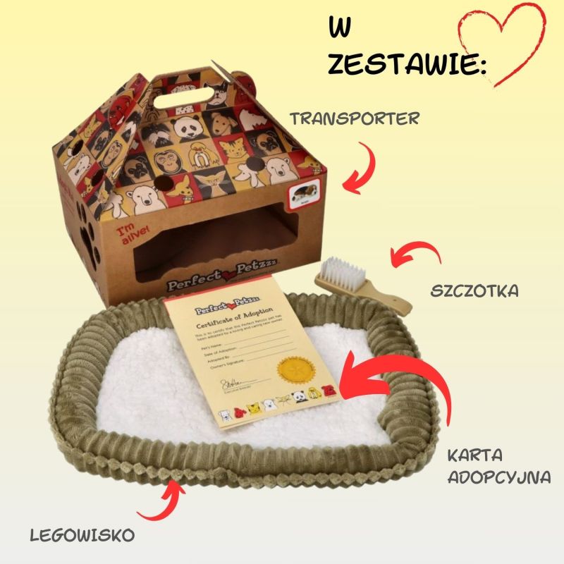 Zaadoptuj mnie Kociak oddychający pręgowany szary