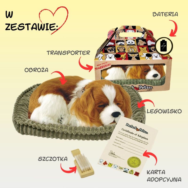 Oddychający szczeniaczek Cavalier